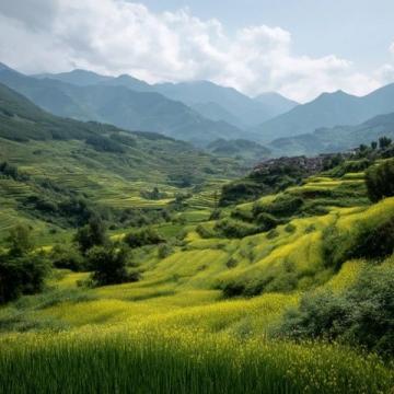 小滿時節(jié)養(yǎng)生攻略:夏熟作物成熟之際