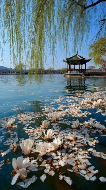 揚州旅游攻略：穿越千年，體驗詩意慢生活