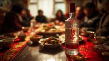 寧夏紅酒體驗:山海情同款,二十年酒恐再臨心中陰影