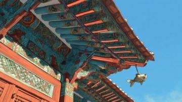 你可能沒注意到,但故宮的屋頂上為什么幾乎沒有鳥屎?