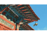 你可能沒注意到，但故宮的屋頂上為什么幾乎沒有鳥屎?