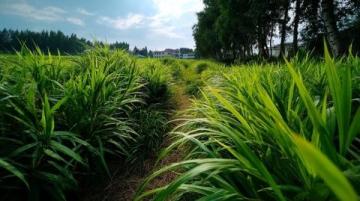 前幾天,我們進(jìn)行了一場說走就走的旅行---內(nèi)蒙古4日行