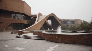 武漢大學親子游避坑指南，帶你暢游最美校園
