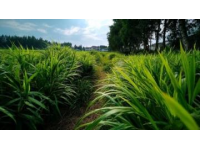 前幾天，我們進行了一場說走就走的旅行---內(nèi)蒙古4日行