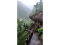 去張家界旅游是跟團還是自由行好？張家界有哪些景點？去張家界旅游大概多少預算？