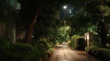 太陽能路燈智能控制原理與功能詳解