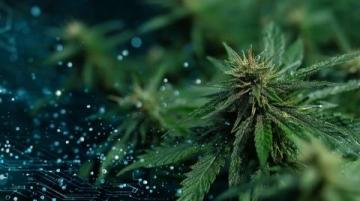 全人培養視閾下常識教育的功能定位與實現路徑探析