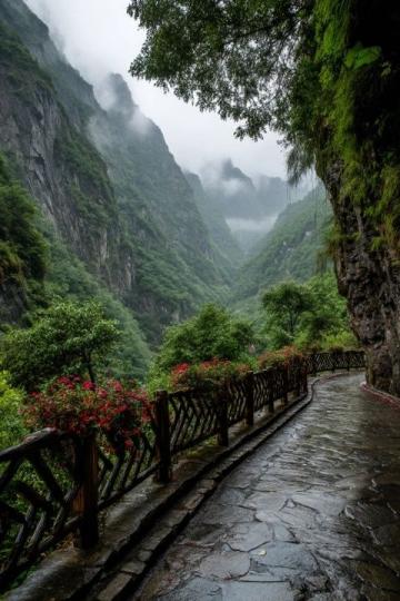 重慶游玩秘籍大公開！少走彎路，暢玩山城