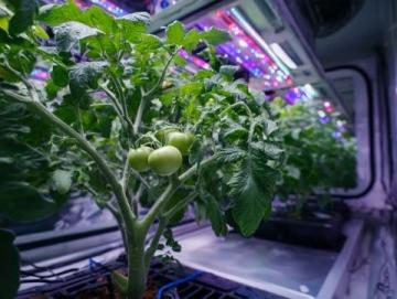 全人培養視閾下常識教育的功能定位與實現路徑探析