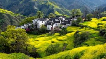 云南春天尋味指南:美景與美食共賞之旅
