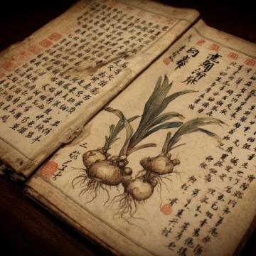 中醫(yī)養(yǎng)生知識科普講座(中醫(yī)養(yǎng)生知識科普)