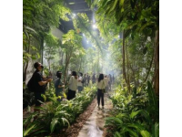 廣州增城驚現(xiàn)現(xiàn)實(shí)版「莫奈花園」！春日浪漫打卡地被我找到了
