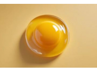 解鎖雞蛋新吃法簡單易學(xué)一看就會的做法