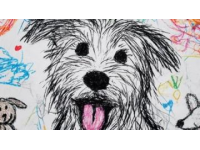 小學寫動物作文技巧：觀察描繪+生活故事+深層寓意