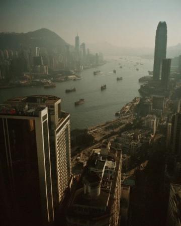 香港鼠患嚴峻：每捉一只老鼠成本約10880元，引發熱議