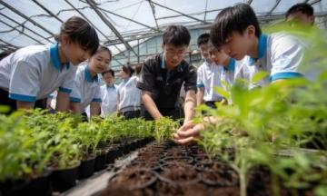 大慶蘭德學校劉禹貝(大慶蘭德學校學生植樹)