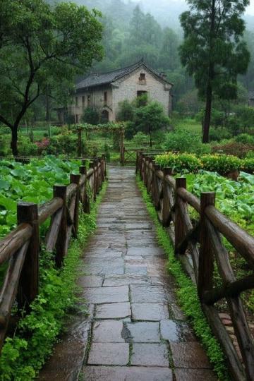 雨水節氣養生指南:東北地區適用的中醫保健策略