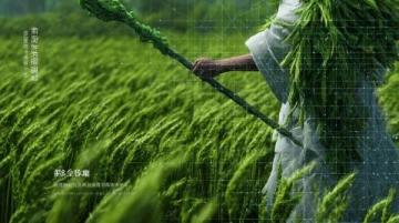 清明節(jié)龍巖三日游攻略及避雷指南
