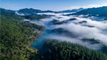 遇見撫仙湖的藍:澄江旅游攻略