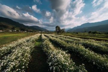 西雙版納最美鄉村——曼遠村游記