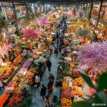 亞明農貿市場:沈陽皇姑區的繁華記憶與市井生活風情