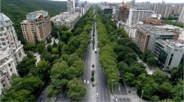 三天佛山行：上海人的驚喜發現，徹底改觀對廣東的印象