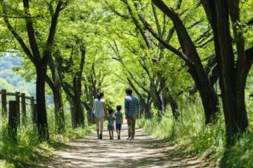500元環游東日本！JR東日本平日旅行優惠票限時發售