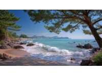 榮成海邊拍照爭議：禁令引發熱議，平衡旅游管理與公眾權利成焦點