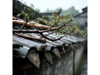 北京石雨棚、東城區雨棚、西城區雨棚、朝陽區雨棚、豐臺區雨棚、石景山區雨棚、海淀
