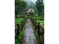 雨水節氣養生指南：東北地區適用的中醫保健策略