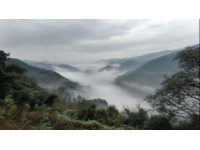清明假期山城踏青記：十日悠然時光，探訪三潭風景區美景