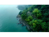 黃海之濱美食生活指南；東臺五一深度體驗。