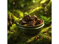 春分食韻：麥黃筋薺菜素餃，香菇松子餡，盡享春之美味