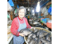 30元一條的無刺全肉魚，營養豐富補腦佳品最適合孩子吃