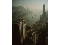 香港鼠患嚴峻：每捉一只老鼠成本約10880元，引發熱議