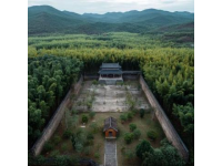 漫悅小巷民宿：體驗(yàn)叢林坦克的樂趣