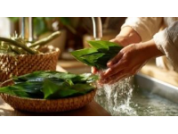日常五防?。菏植壳鍧?、食品安全、室內通風、口罩使用與個人用品衛生