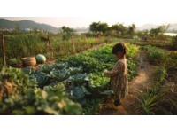巴州區興文小學校園農場種蔬菜，校門口擺攤搞義賣