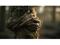 在溫柔中釋懷：編織生活的希望與堅韌