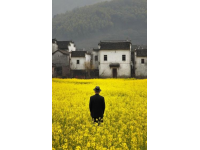 河北廊坊，男子獻血8次，卻在急用血時被告知獻血證過期，不能優先用血！男子不能