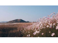 南岳衡山周邊: 一路走到底