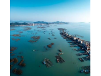 三亞之旅：十天內發現景區冷清與變化