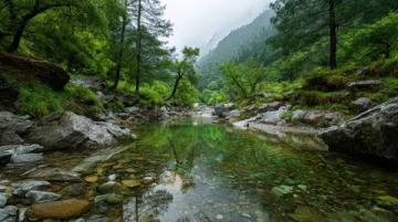 九寨溝一日游:奇幻探險之旅,開啟你的山水童話之旅