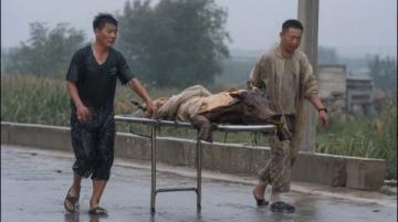 當年民國鎮上死了七個百姓,死者面青指蜷,繡花鞋旁遺著半只鞋子,縣里派來的巡警被逼退,局長一刀刺穿了案子。