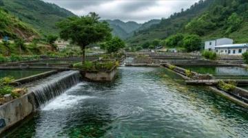 襄陽在襄陽所有景區里,唐城門票最貴,且分成日場和夜游,如今也免費開放