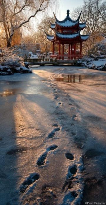 揭秘東北的趣味冷知識(shí)：冰雪藝術(shù)、方言魅力與美食風(fēng)情