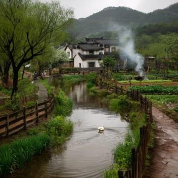 成都近郊露營好去處:金馬河邊的溫江魯家灘濕地公園