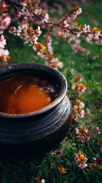 家常海帶豬蹄湯，滋補養生兩不誤