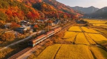 深秋踏青指南：一日徒步探險(xiǎn)，竹影水韻古村落美食之旅
