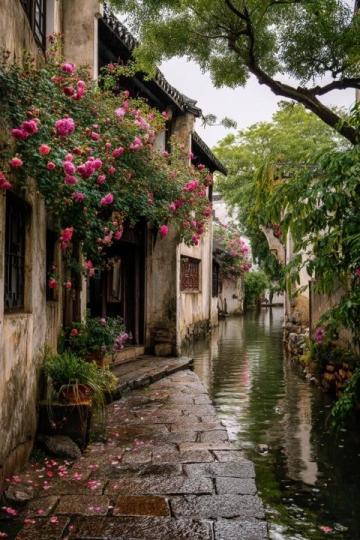 江南秘境：藏于古村中的油菜花海等你來探秘